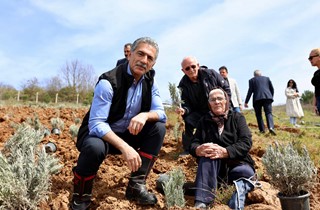 Gemlik Belediyesi Lavanta Bahçesi Kuruyor